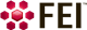 FEI logo