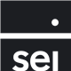 SEI Enhanced U.S. Large Cap Value Factor ETF stock logo