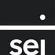 SEI Select International Equity ETF logo