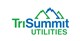 TriSummit Utilities Inc. (ACI.TO) stock logo