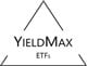 YieldMax NVDA Option Income Strategy ETF stock logo