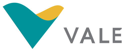 VALE stock logo