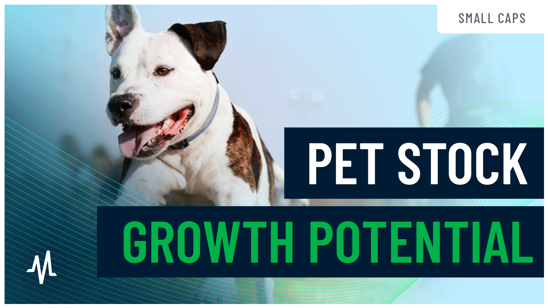 Central Garden & Pet: Niche Focus, Big Growth Potential