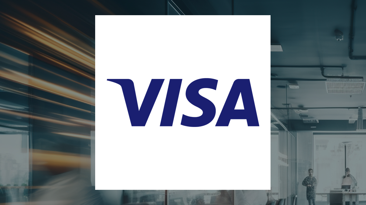 Visa logo with Financial Services background
