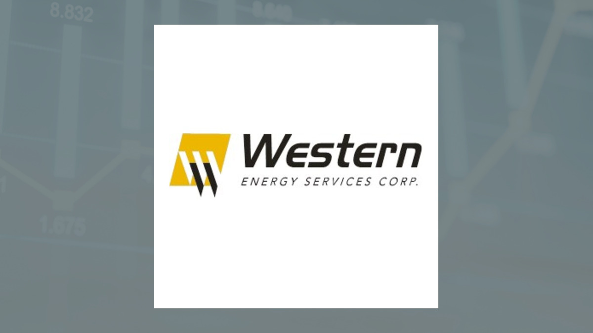 Western Energy Services logo