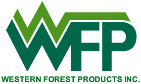 WEF stock logo