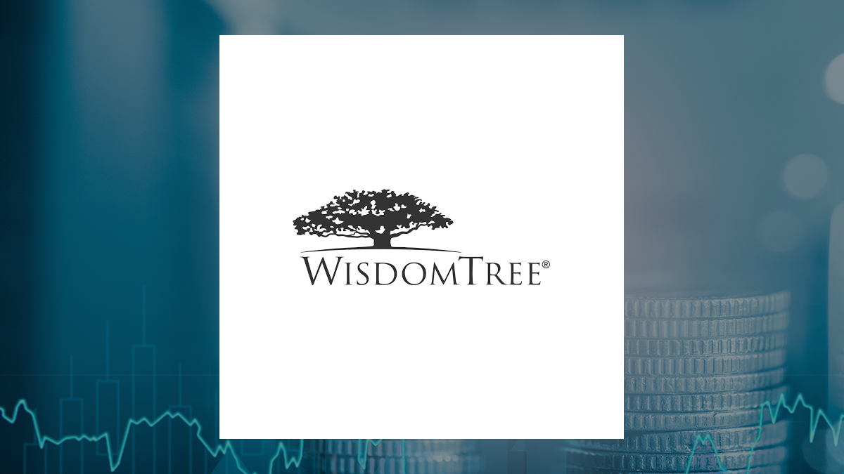 WisdomTree Europe Hedged Equity Fund logo