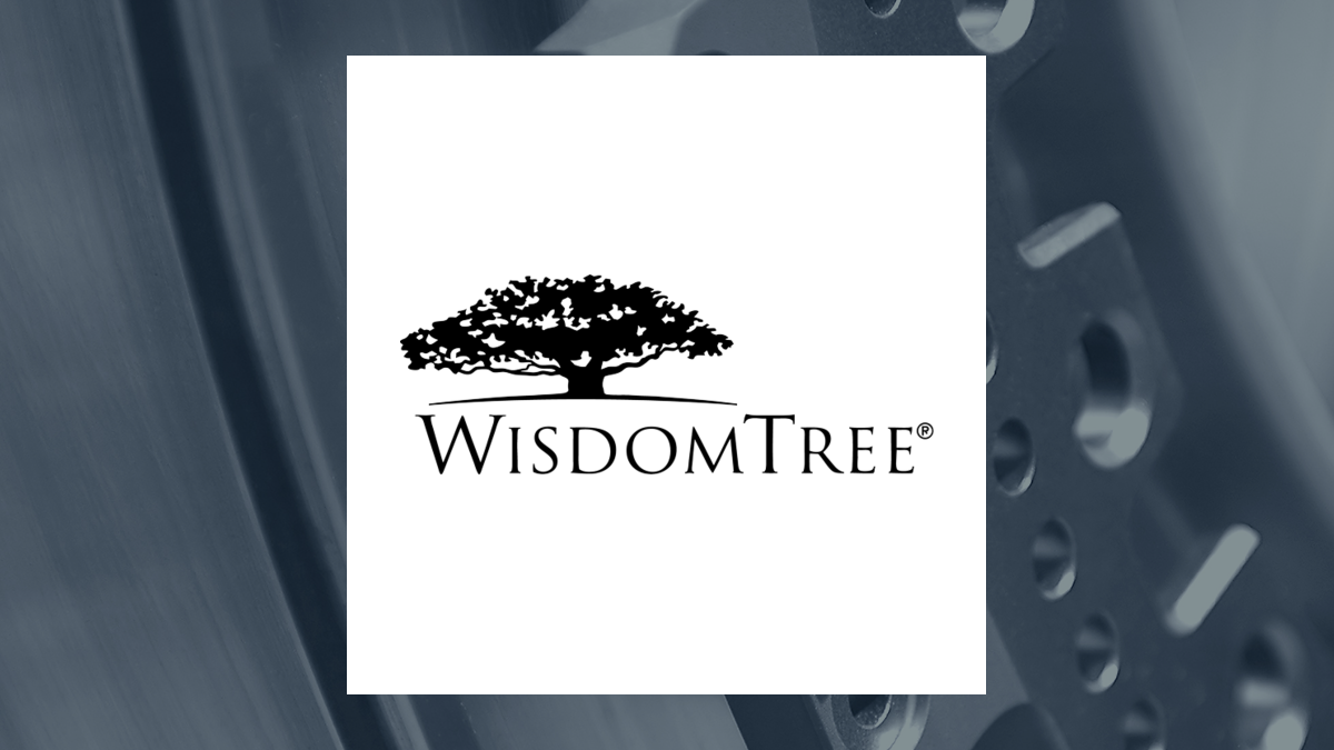 WisdomTree U.S. SmallCap Quality Dividend Growth Fund logo