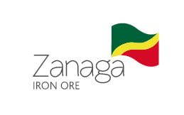 ZIOC stock logo