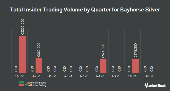 Insider Buying and Selling by Quarter for Bayhorse Silver (CVE:BHS)
