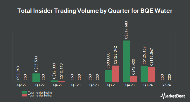 Insider Buying and Selling by Quarter for BQE Water (CVE:BQE)