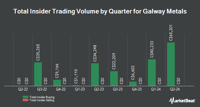 Insider Buying and Selling by Quarter for Galway Metals (CVE:GWM)