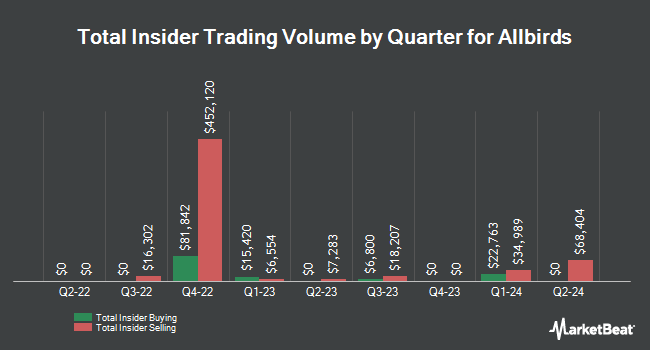 Insider Buying and Selling by Quarter for Allbirds (NASDAQ:BIRD)