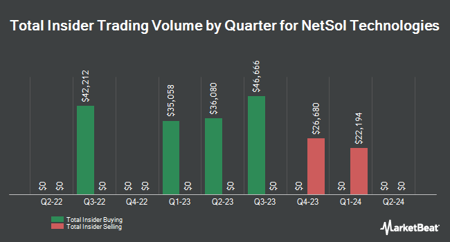 Insider Buying and Selling by Quarter for NetSol Technologies (NASDAQ:NTWK)