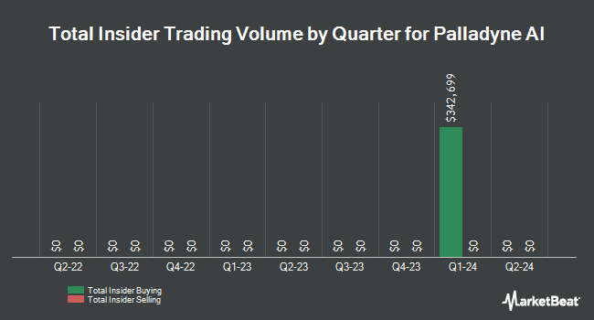 Insider Buying and Selling by Quarter for Palladyne AI (NASDAQ:PDYN)