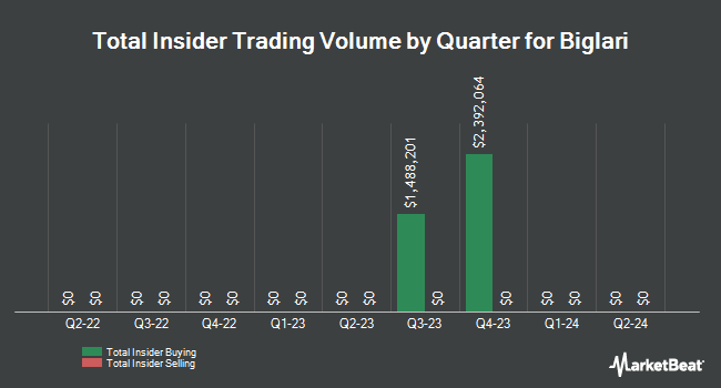 Insider Buying and Selling by Quarter for Biglari (NYSE:BH)