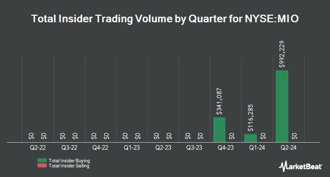 Insider Buying and Selling by Quarter for Pioneer Municipal High Income Opportunities Fund (NYSE:MIO)