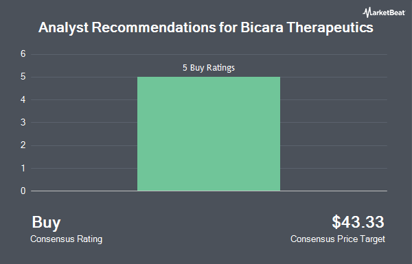 Analyst Recommendations for Bicara Therapeutics (NASDAQ:BCAX)