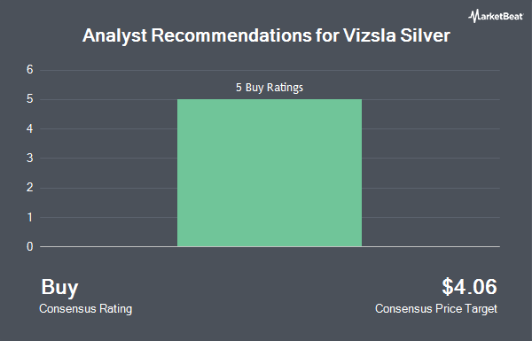 Analyst Recommendations for Vizsla Silver (NYSE:VZLA)