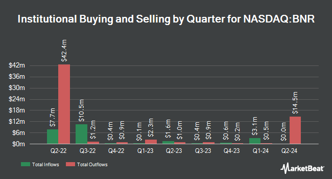 Institutional Ownership by Quarter for Burning Rock Biotech (NASDAQ:BNR)